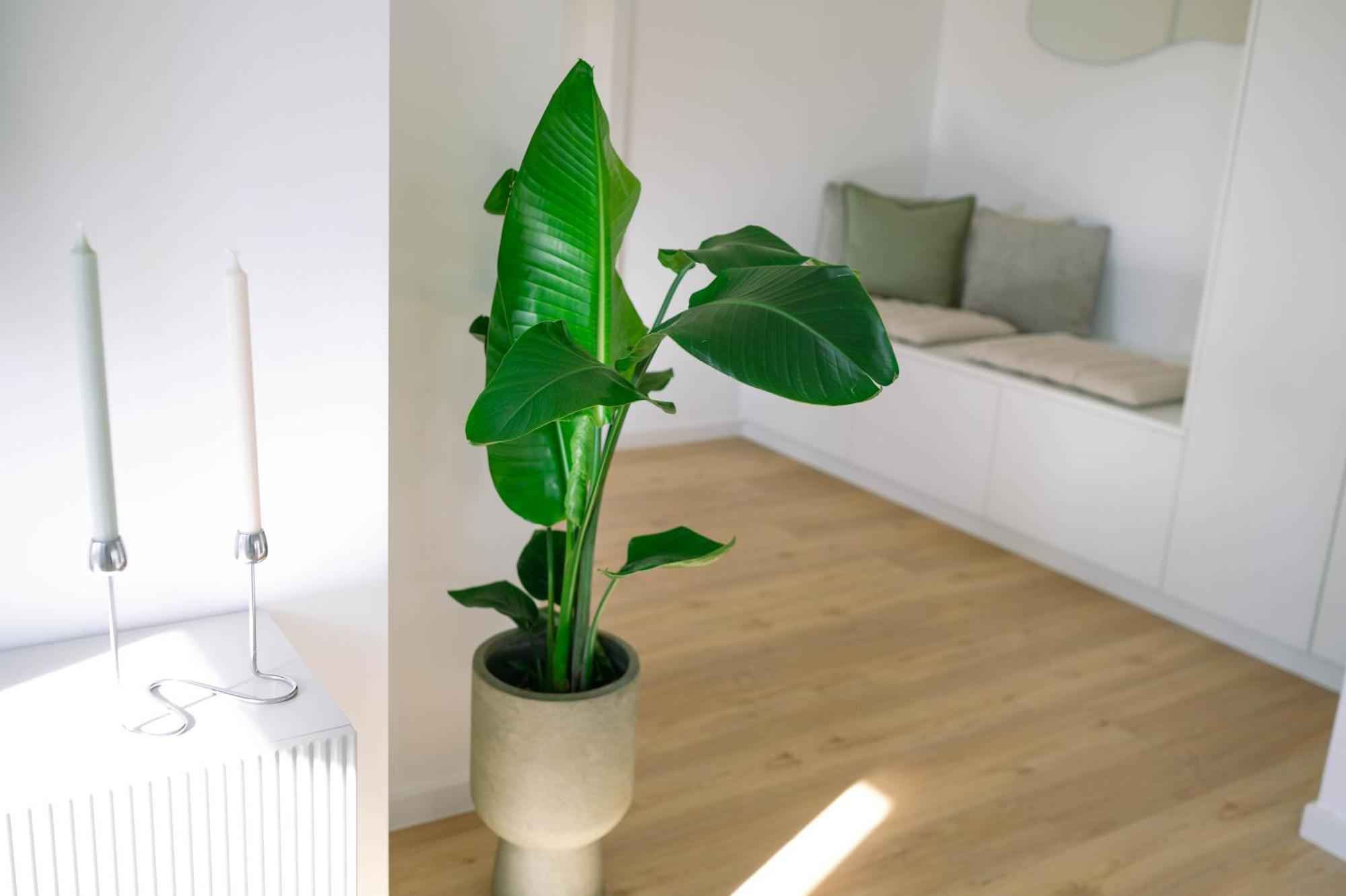 Koe27 - Modernes City-Apartment Siegen Bagian luar foto